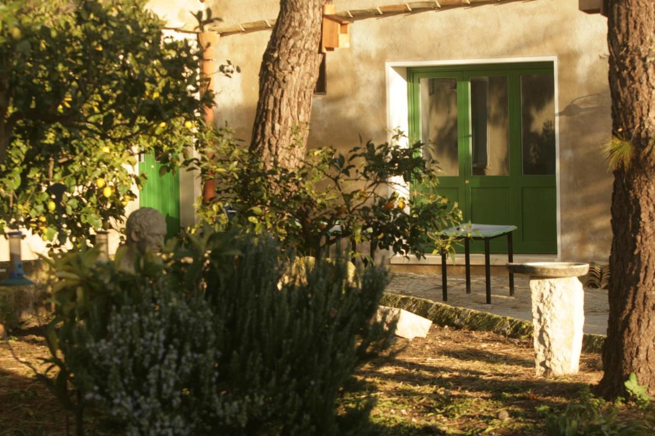 B&B Manca1Fiorino 부세토팔리죨로 외부 사진